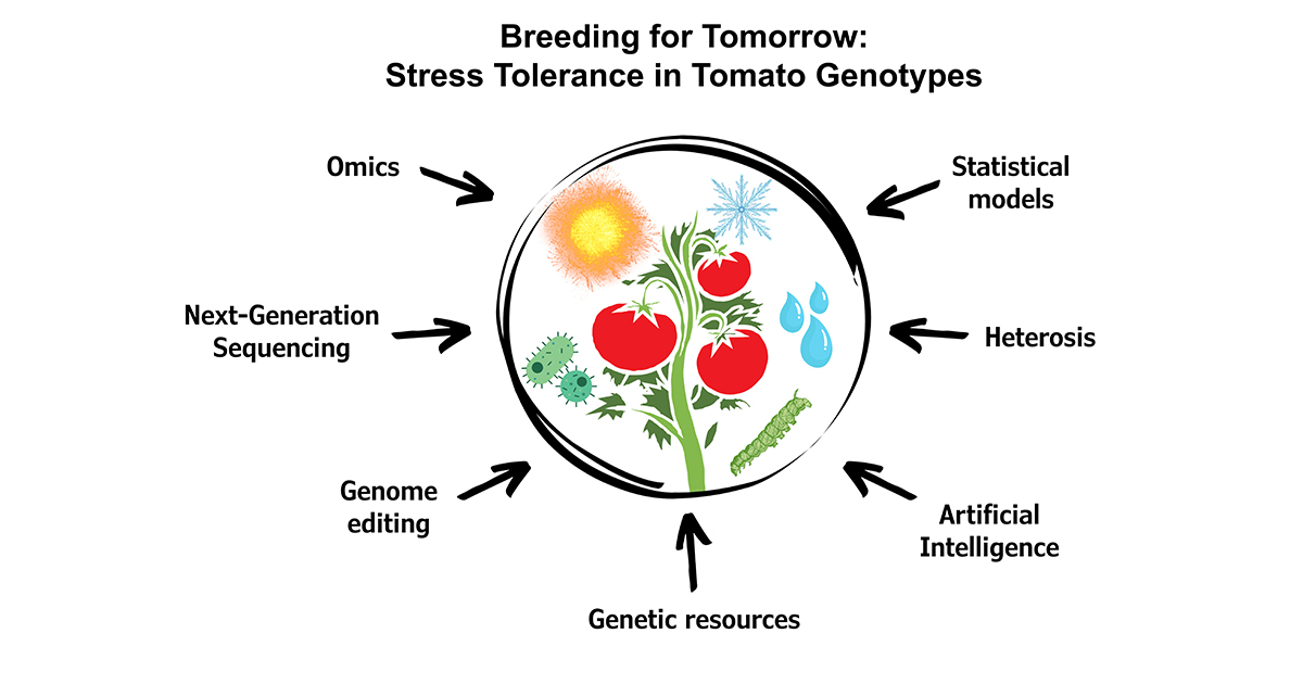 Graphical abstract