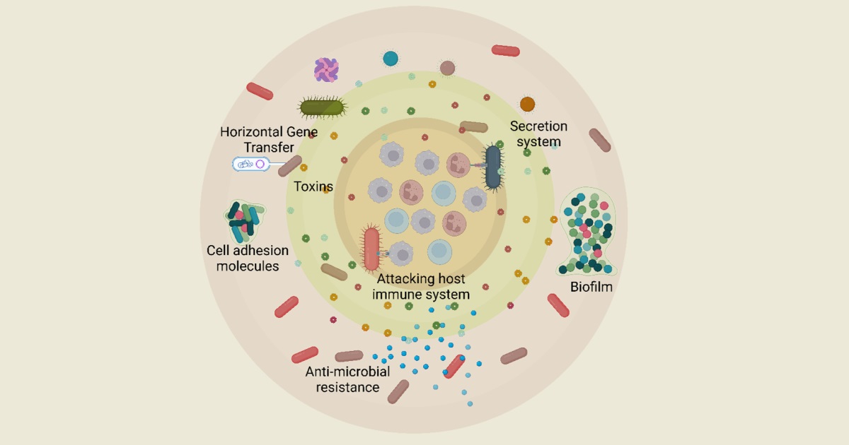 Graphical abstract