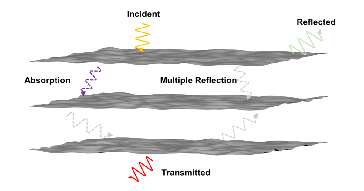Graphical abstract