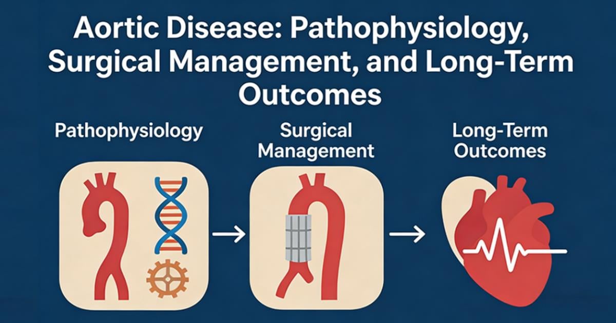Graphical abstract