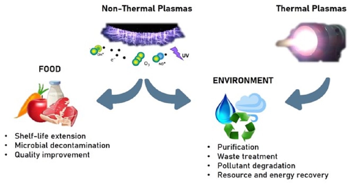 Graphical abstract