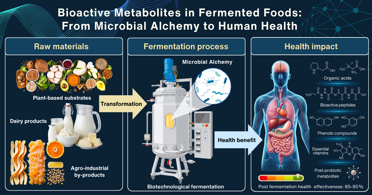 Graphical abstract