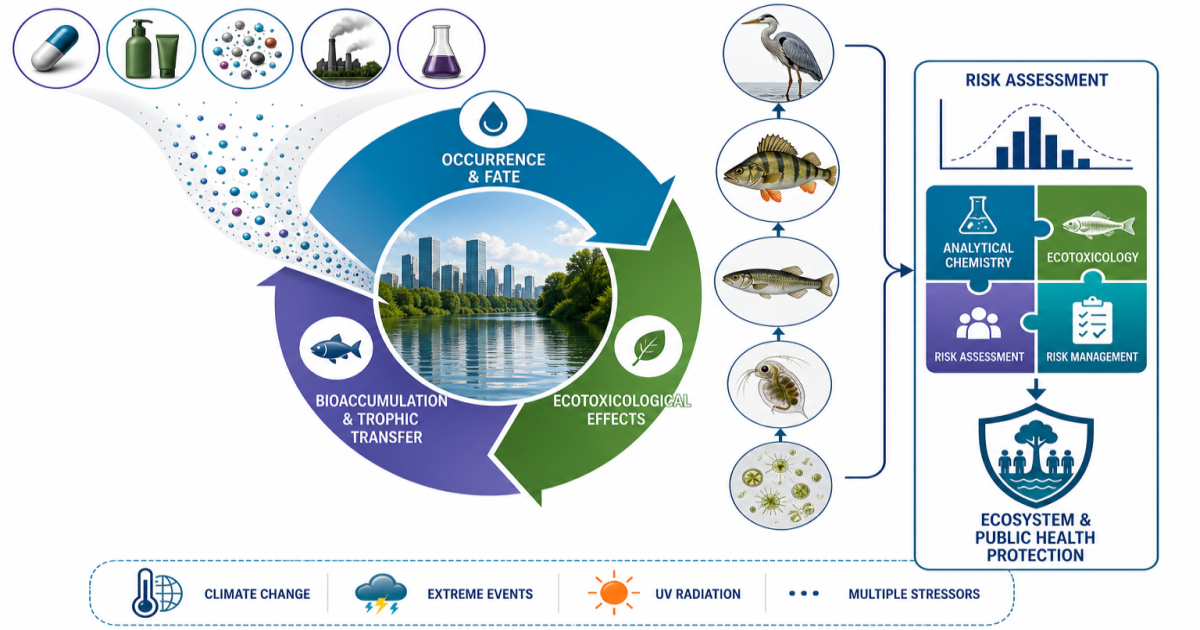Graphical abstract