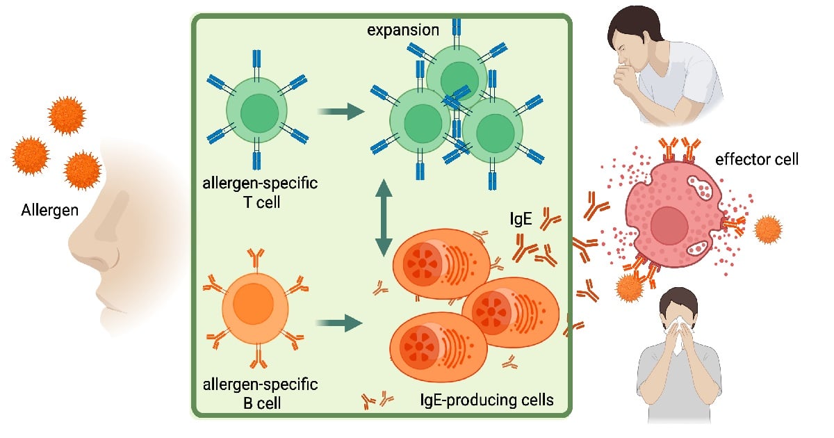Graphical abstract