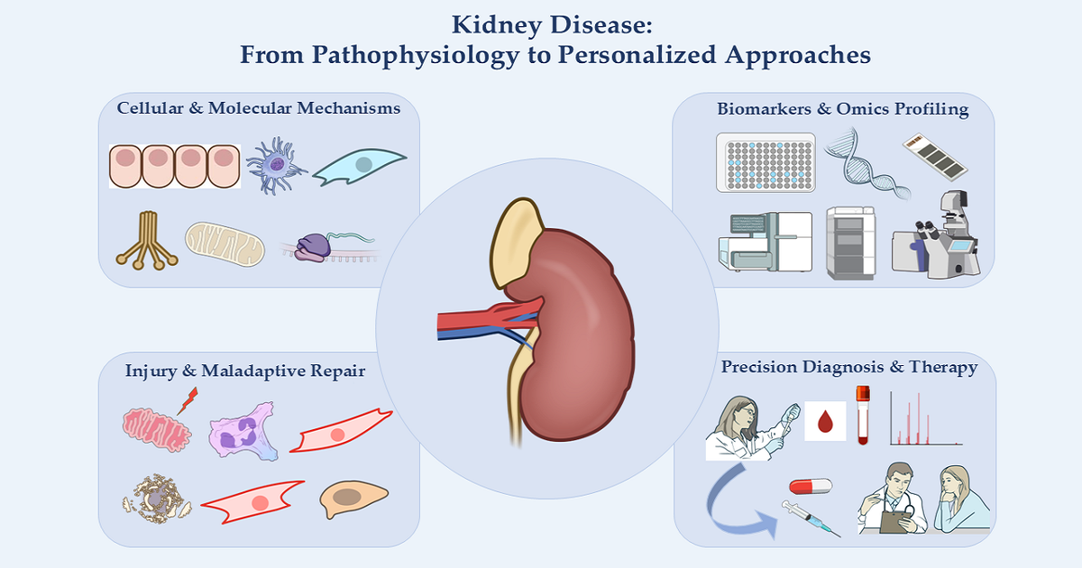 Graphical abstract