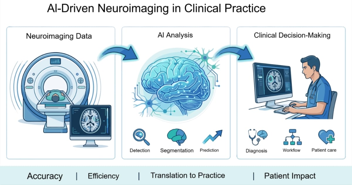 Graphical abstract