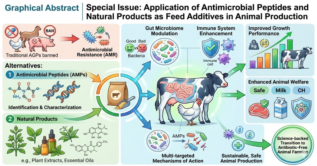 Graphical abstract