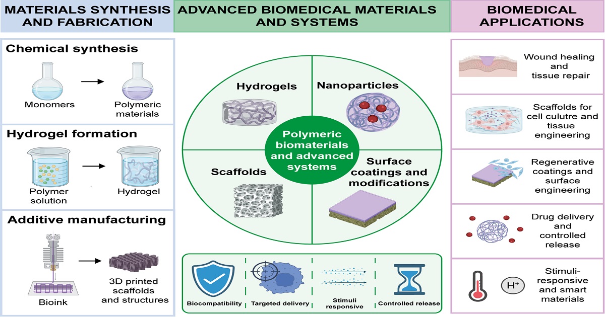 Graphical abstract