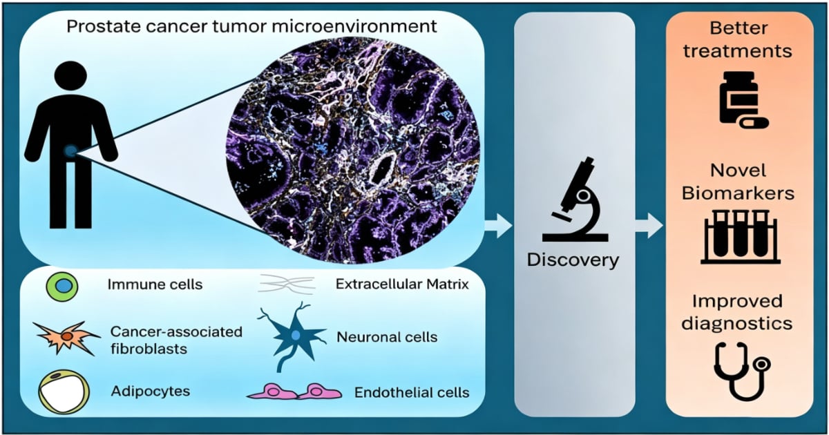 Graphical abstract