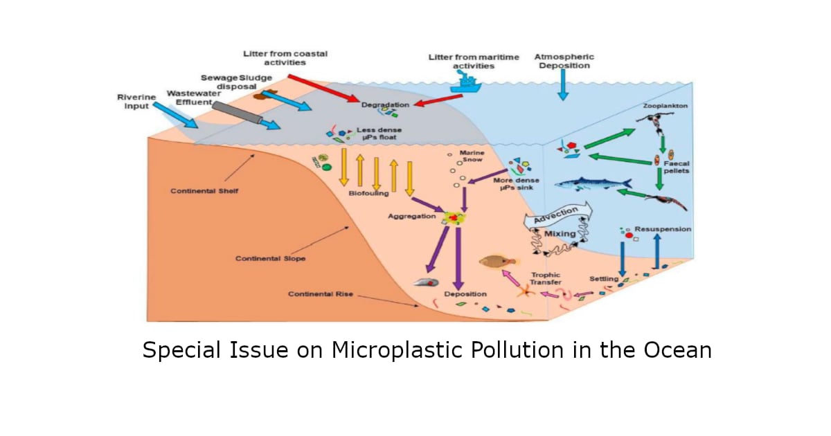 Graphical abstract
