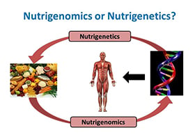 Graphical abstract