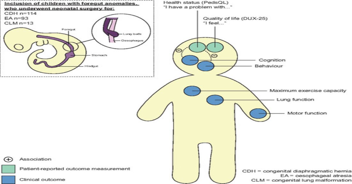Graphical abstract