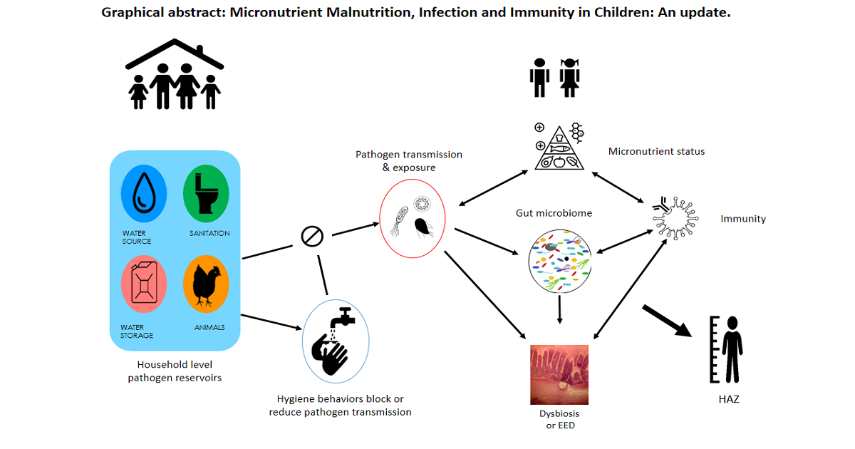 Graphical abstract