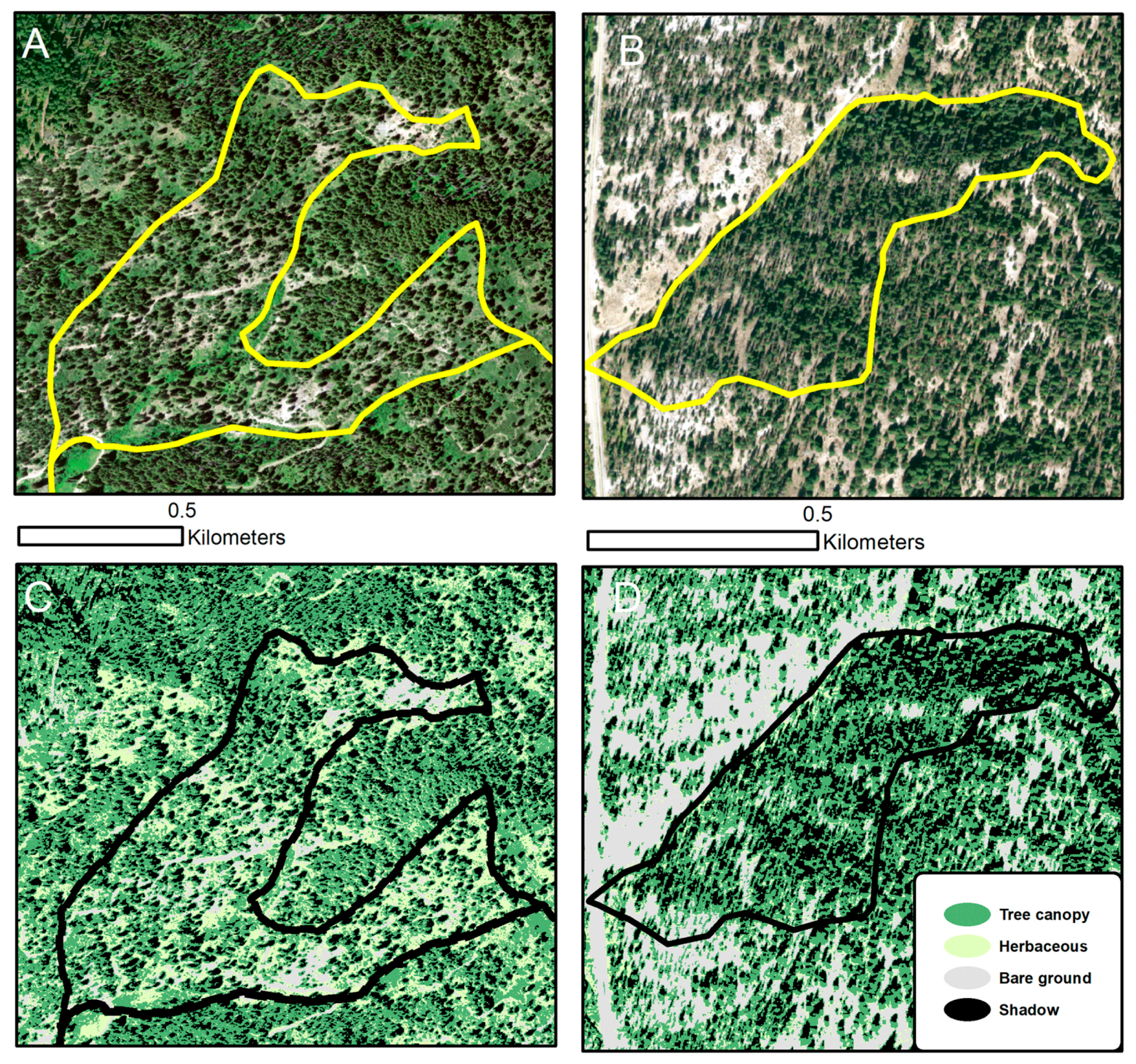 Fire 02 00022 g003 Fire 02 00022 g003