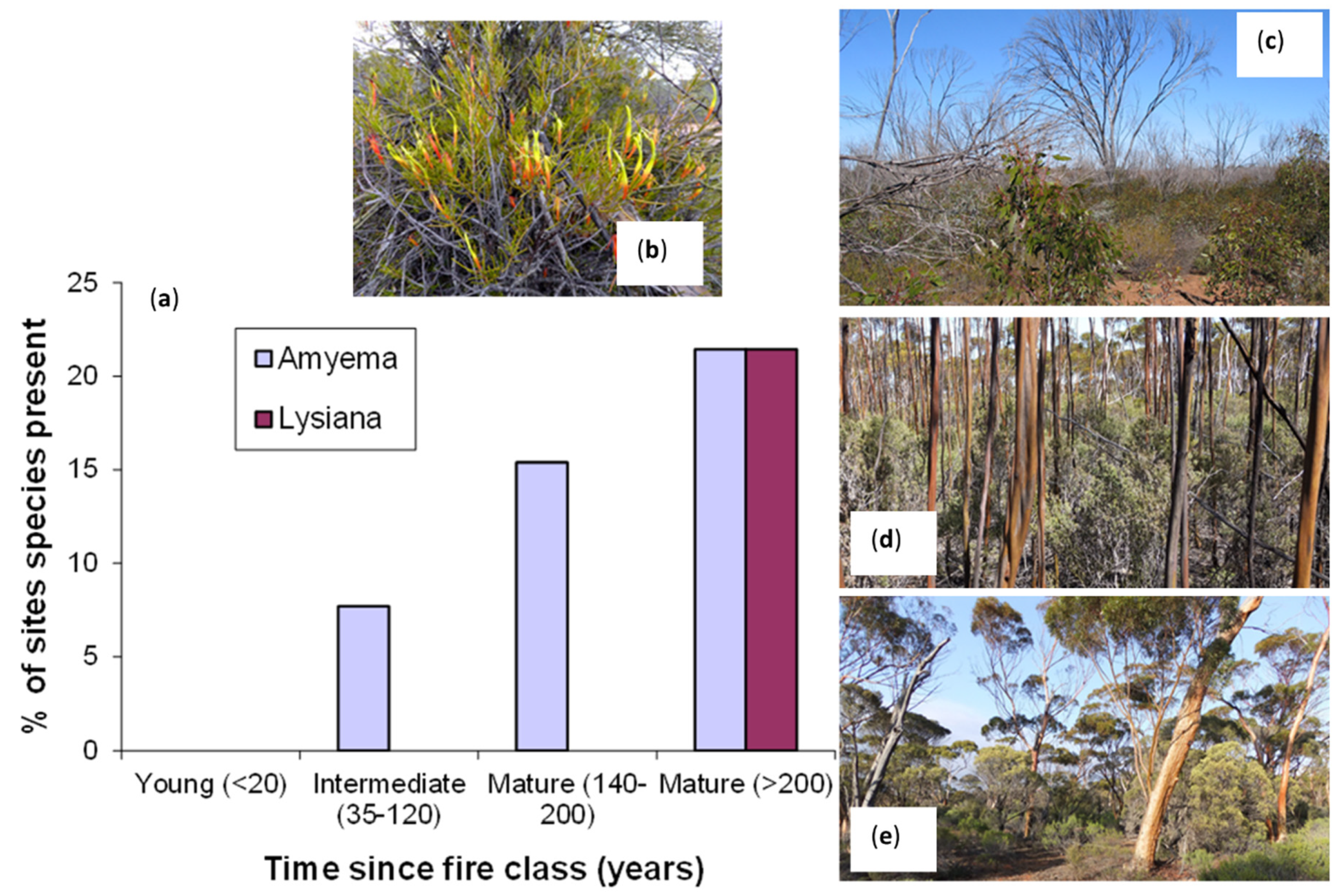 Fire 03 00048 g001 Fire 03 00048 g001