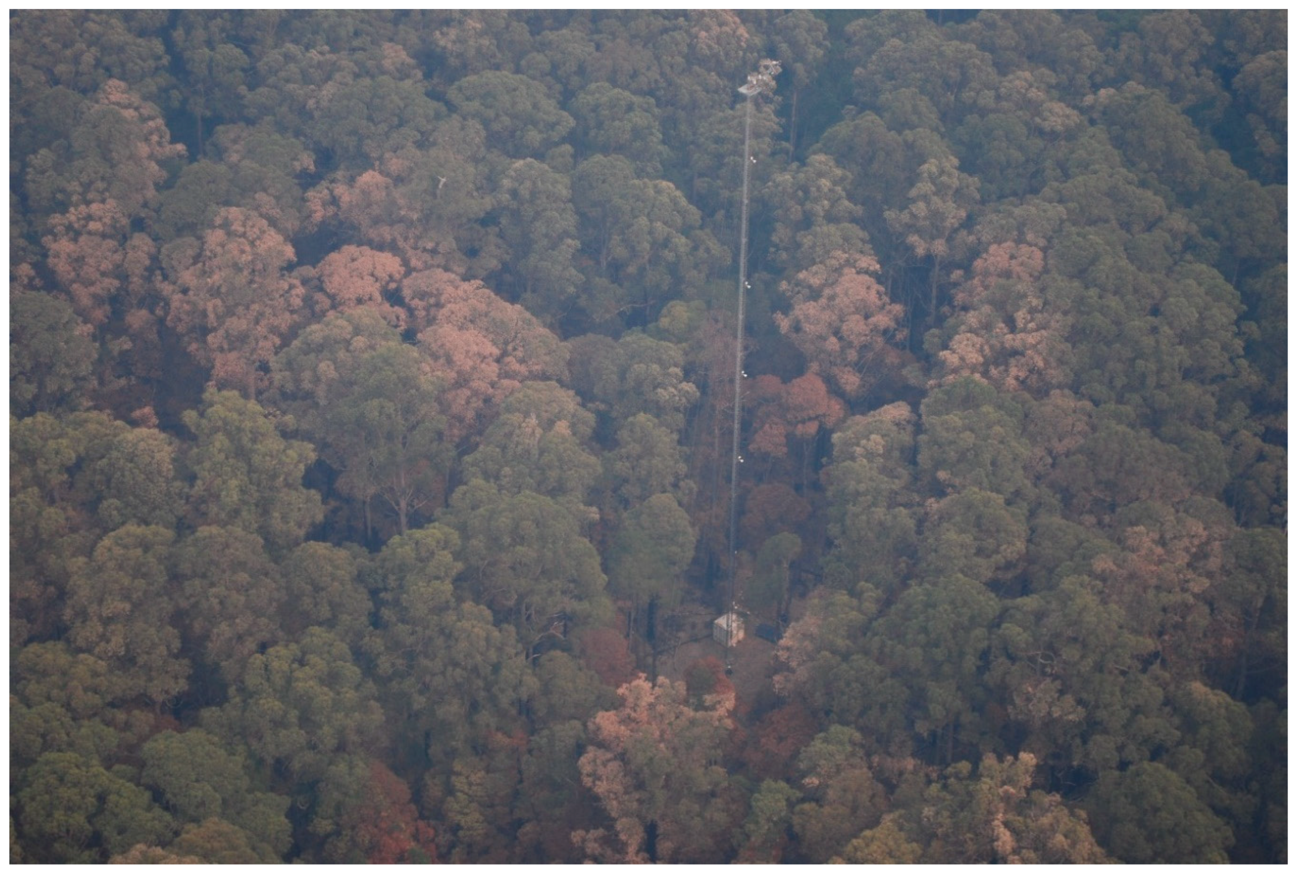 Fire 04 00015 g006 Fire 04 00015 g006