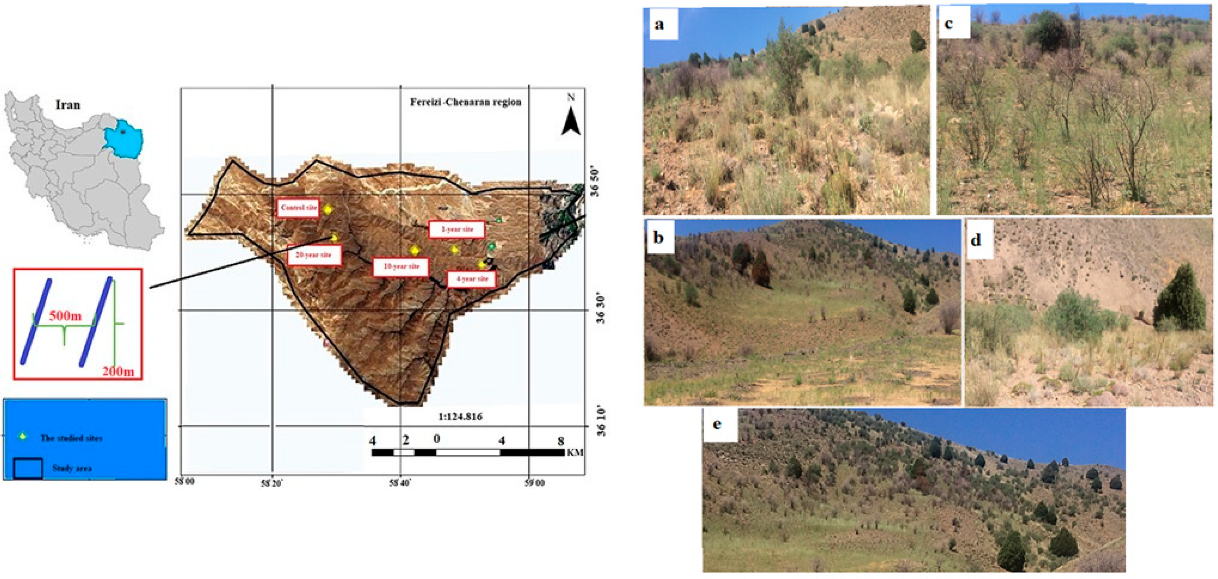 Fire 06 00103 g001 Fire 06 00103 g001