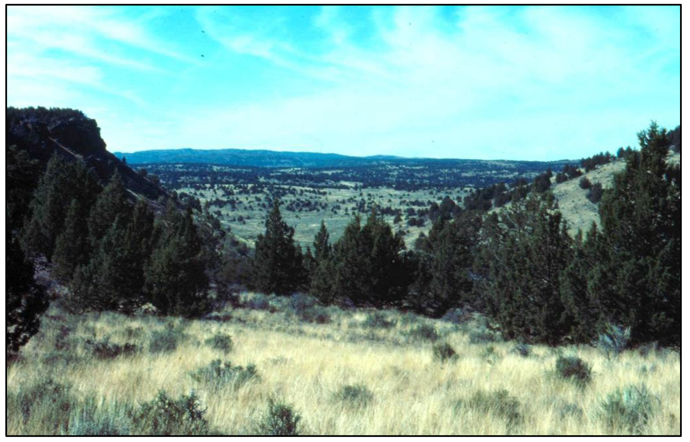 Fire 06 00141 g001 Fire 06 00141 g001