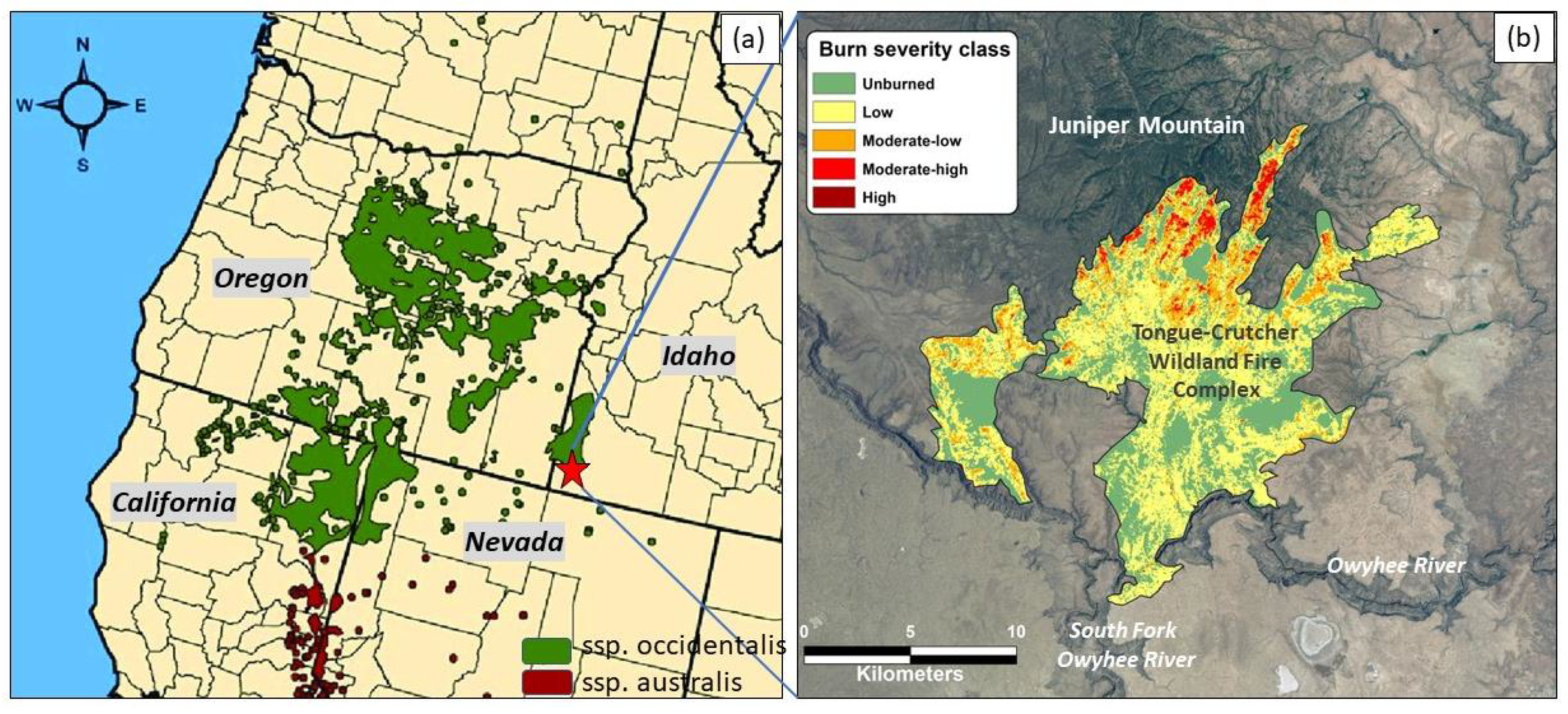 Fire 06 00141 g002 Fire 06 00141 g002