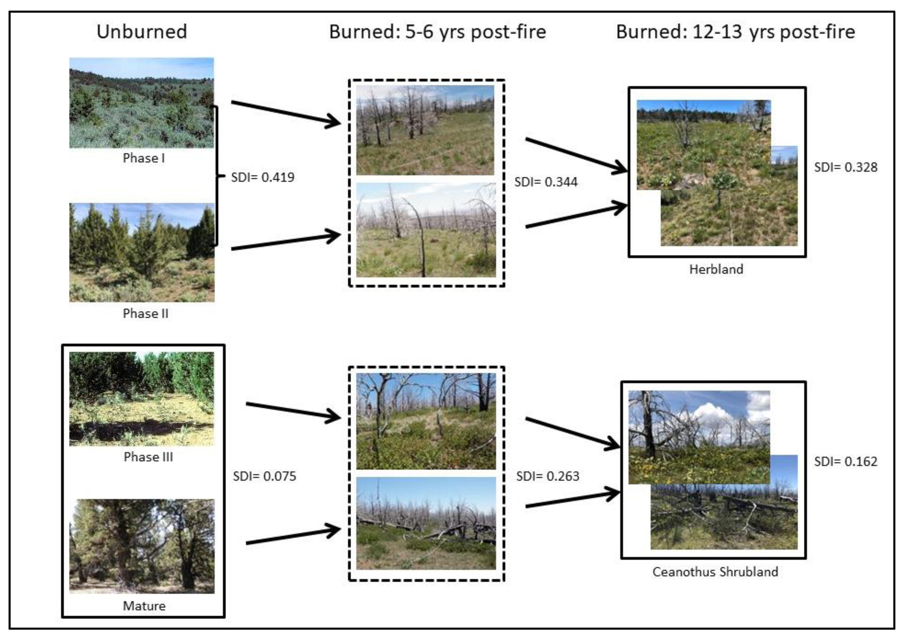 Fire 06 00141 g008 Fire 06 00141 g008