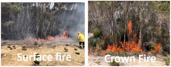 Fire 07 00128 g0a6