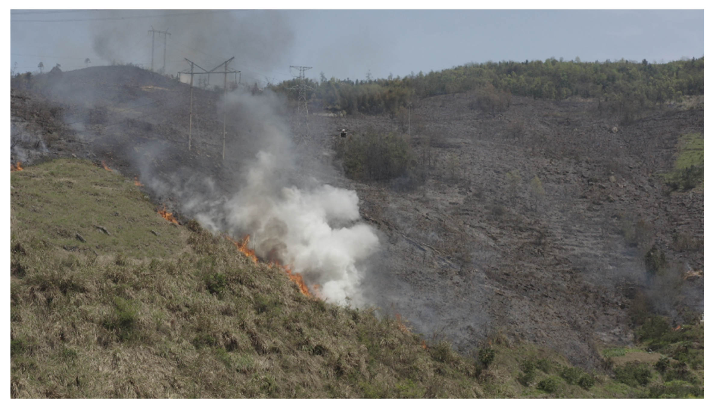 Fire 07 00456 g017