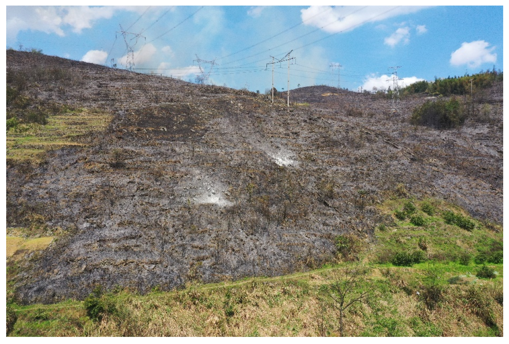 Fire 07 00456 g018