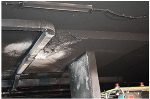 Fire 09 00021 i002 Fire 09 00021 i002