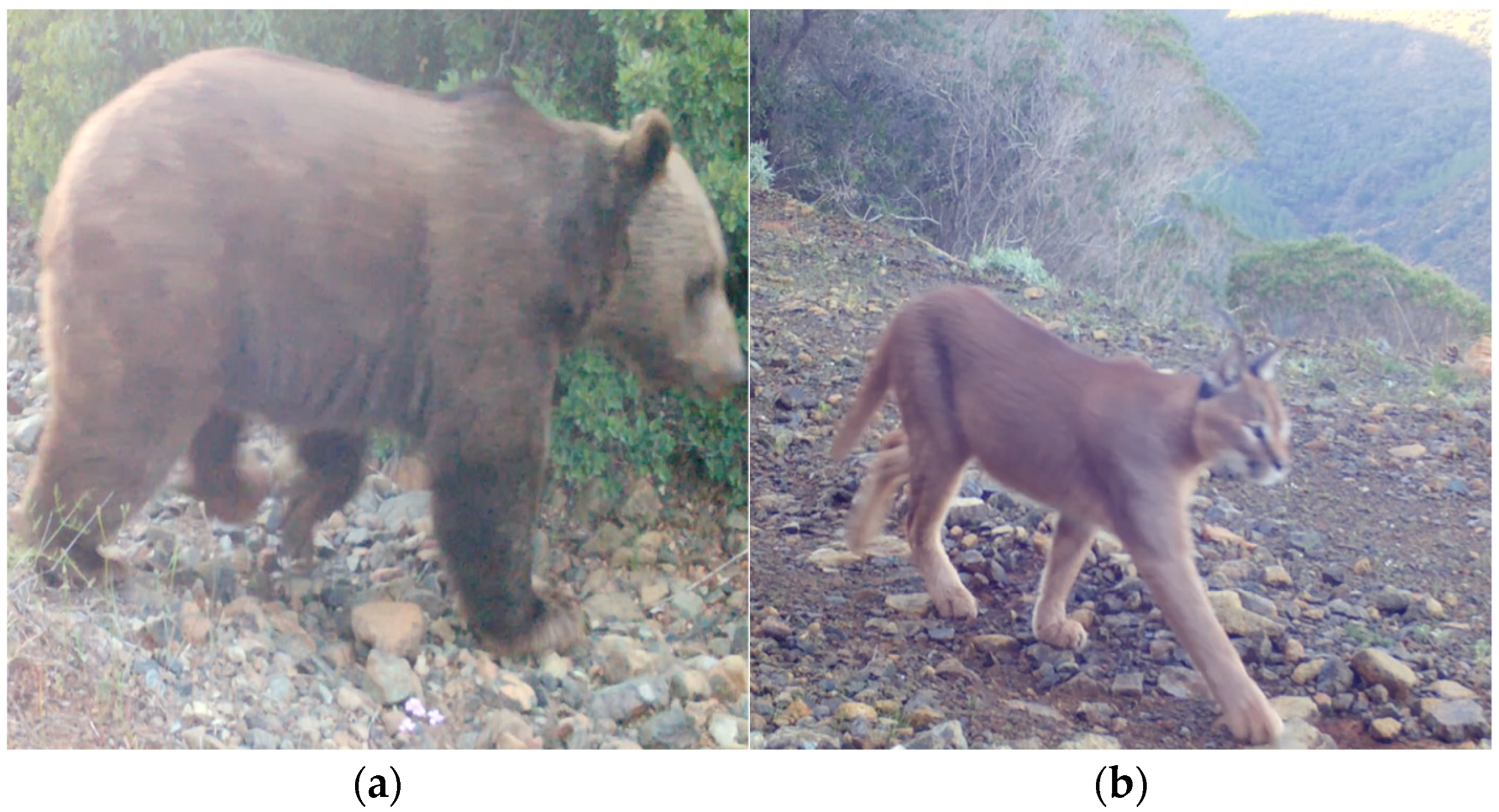 Fire 09 00037 g002a Fire 09 00037 g002a