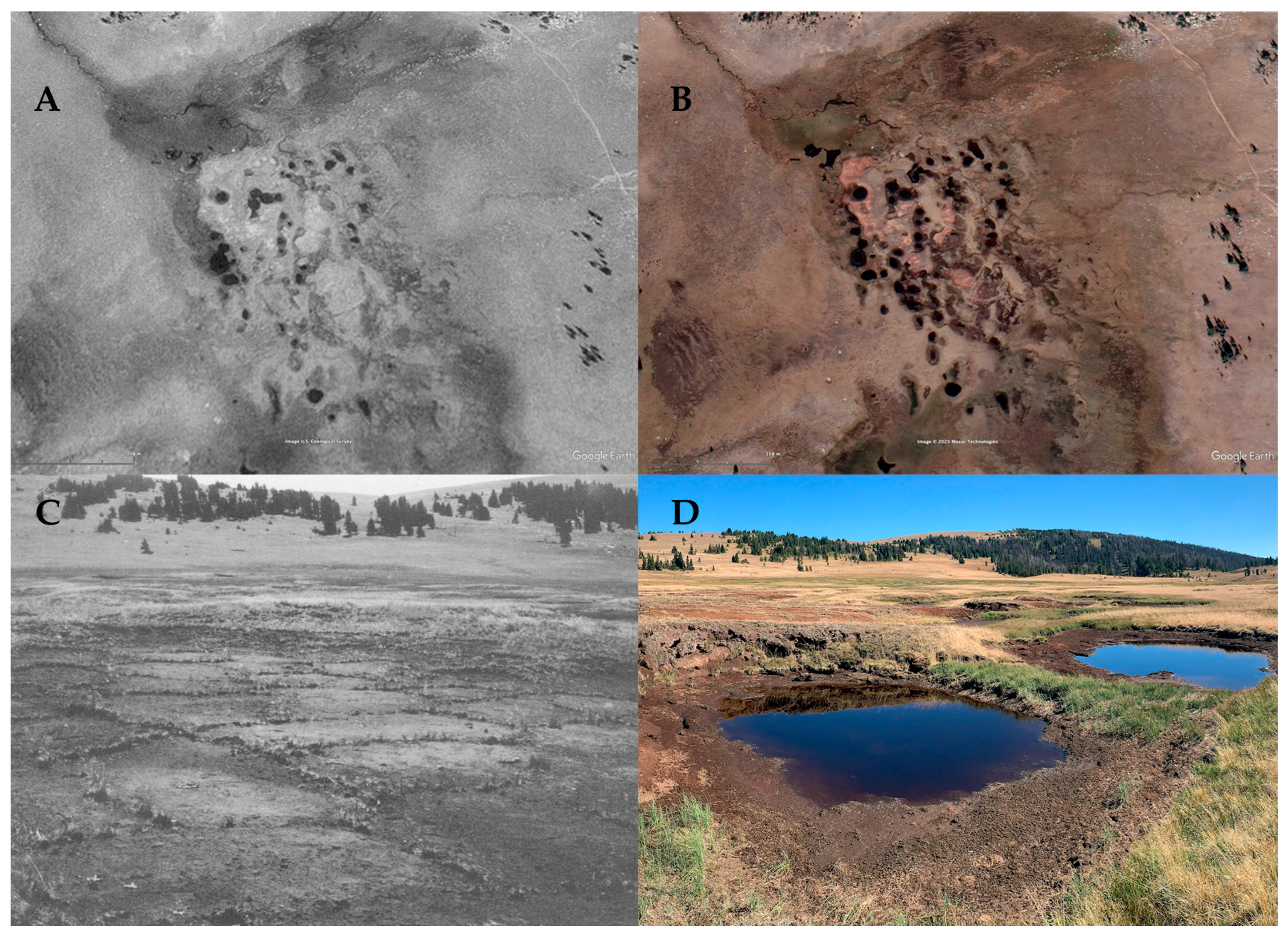 Fire 09 00103 g006 Fire 09 00103 g006