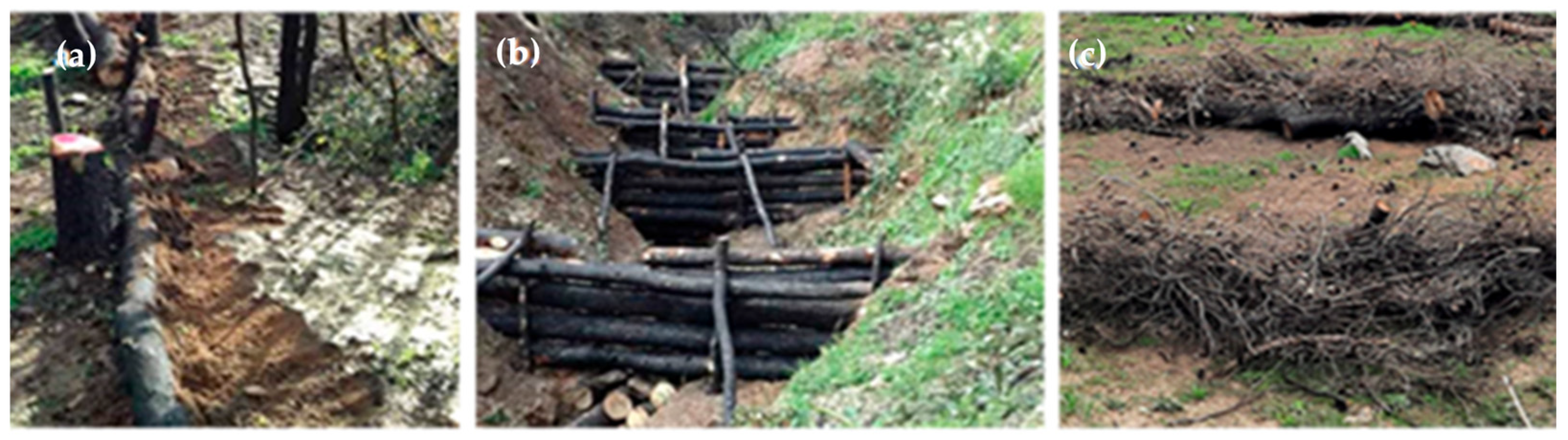 Fire 09 00152 g004 Fire 09 00152 g004