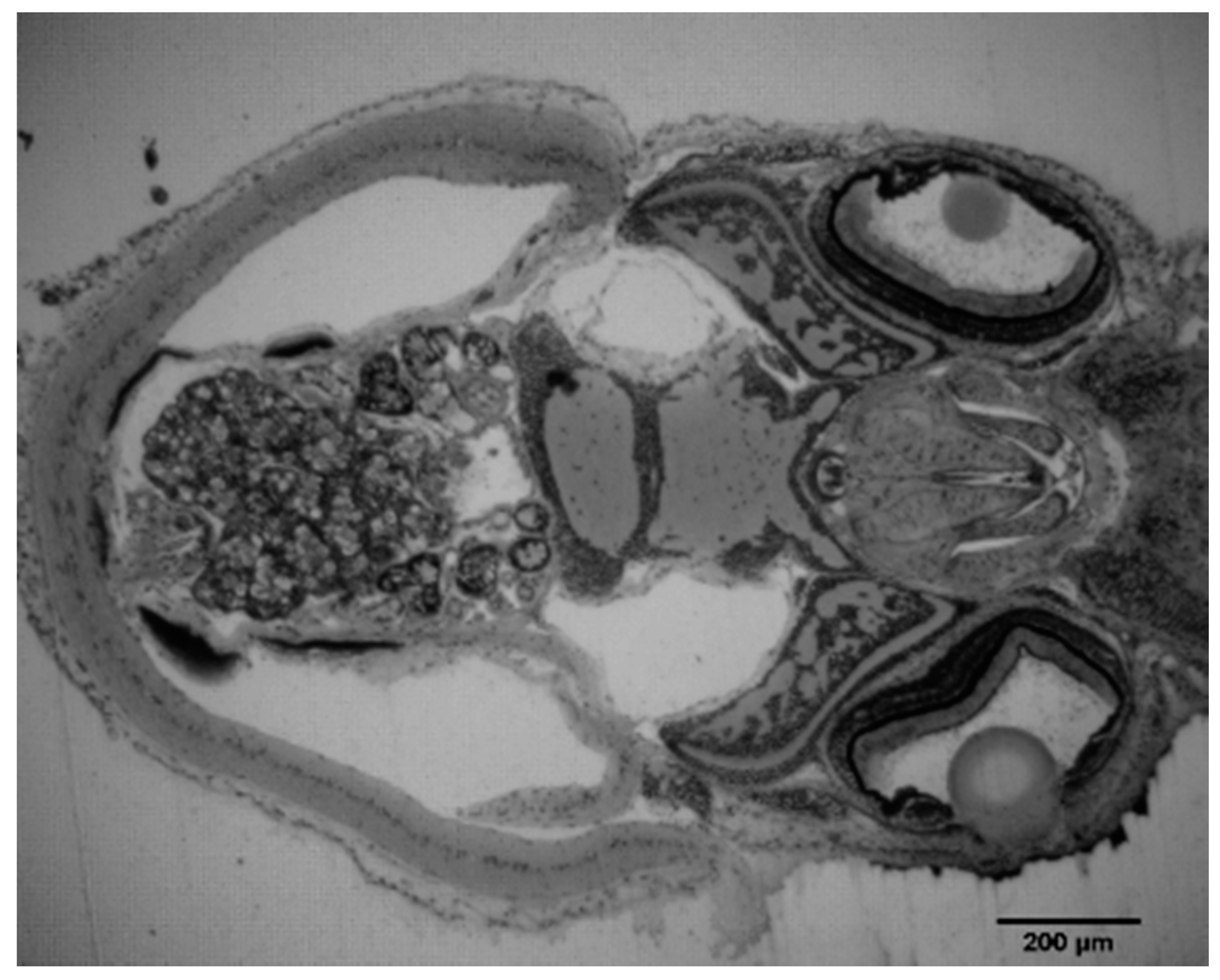 Fishes 02 00021 g001
