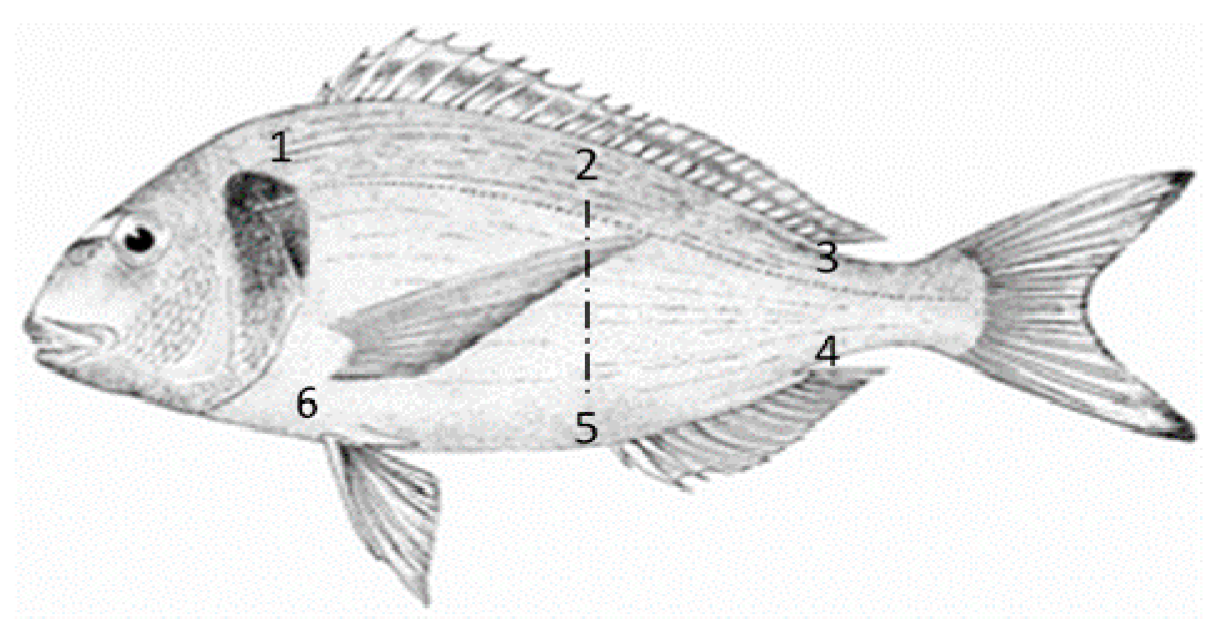 Fishes 03 00009 g001 Fishes 03 00009 g001