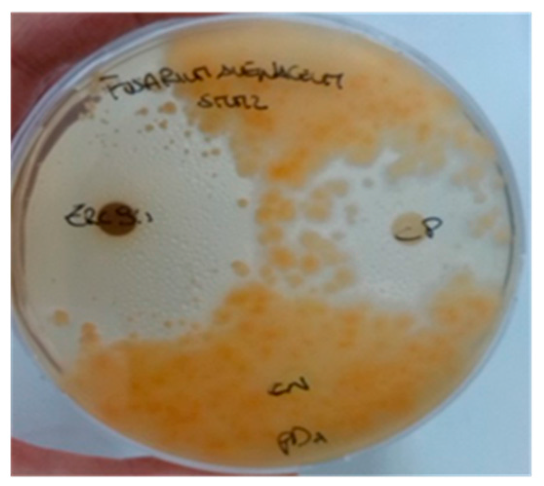 Fishes 03 00012 g002