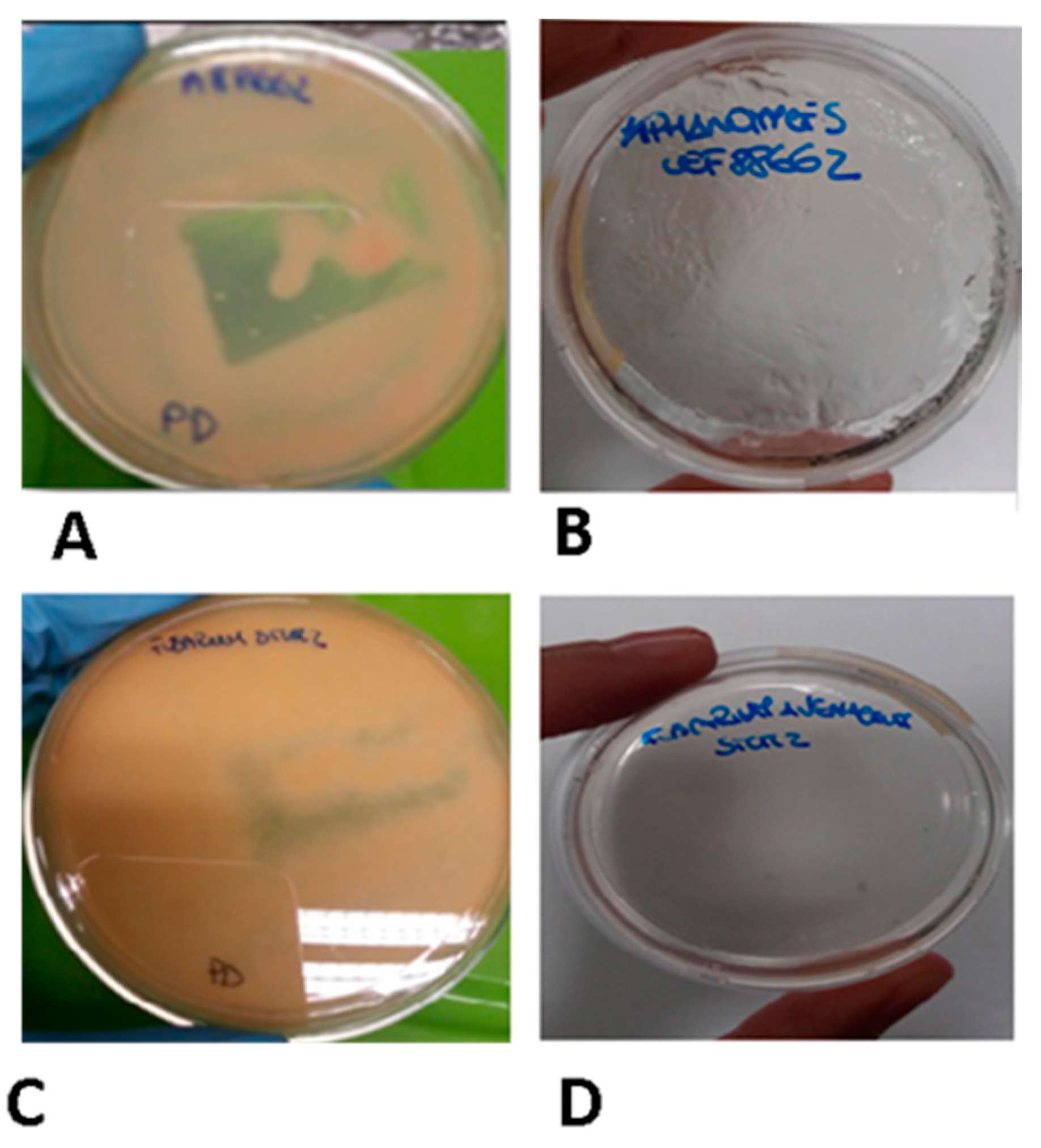 Fishes 03 00012 g005