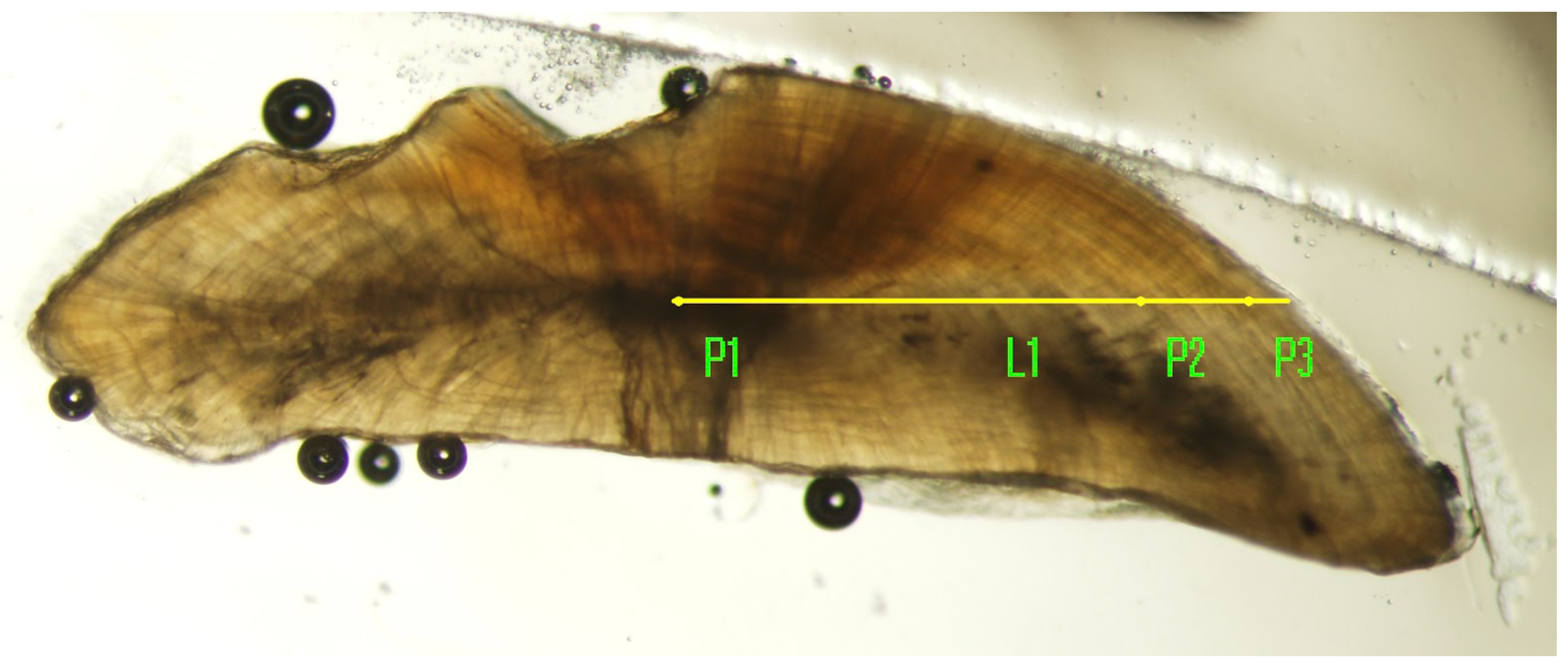 Fishes 03 00031 g006