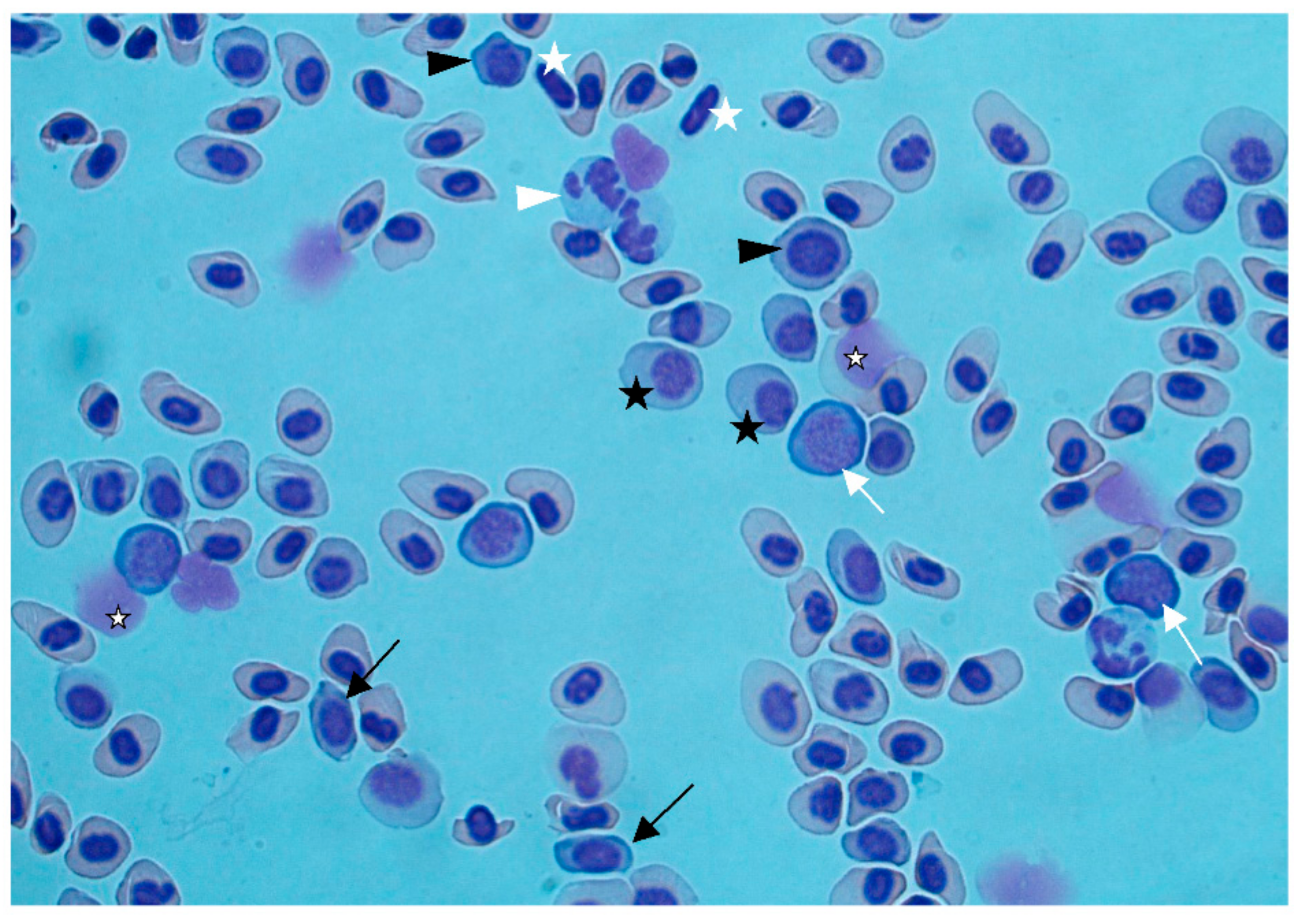 Fishes 03 00042 g003