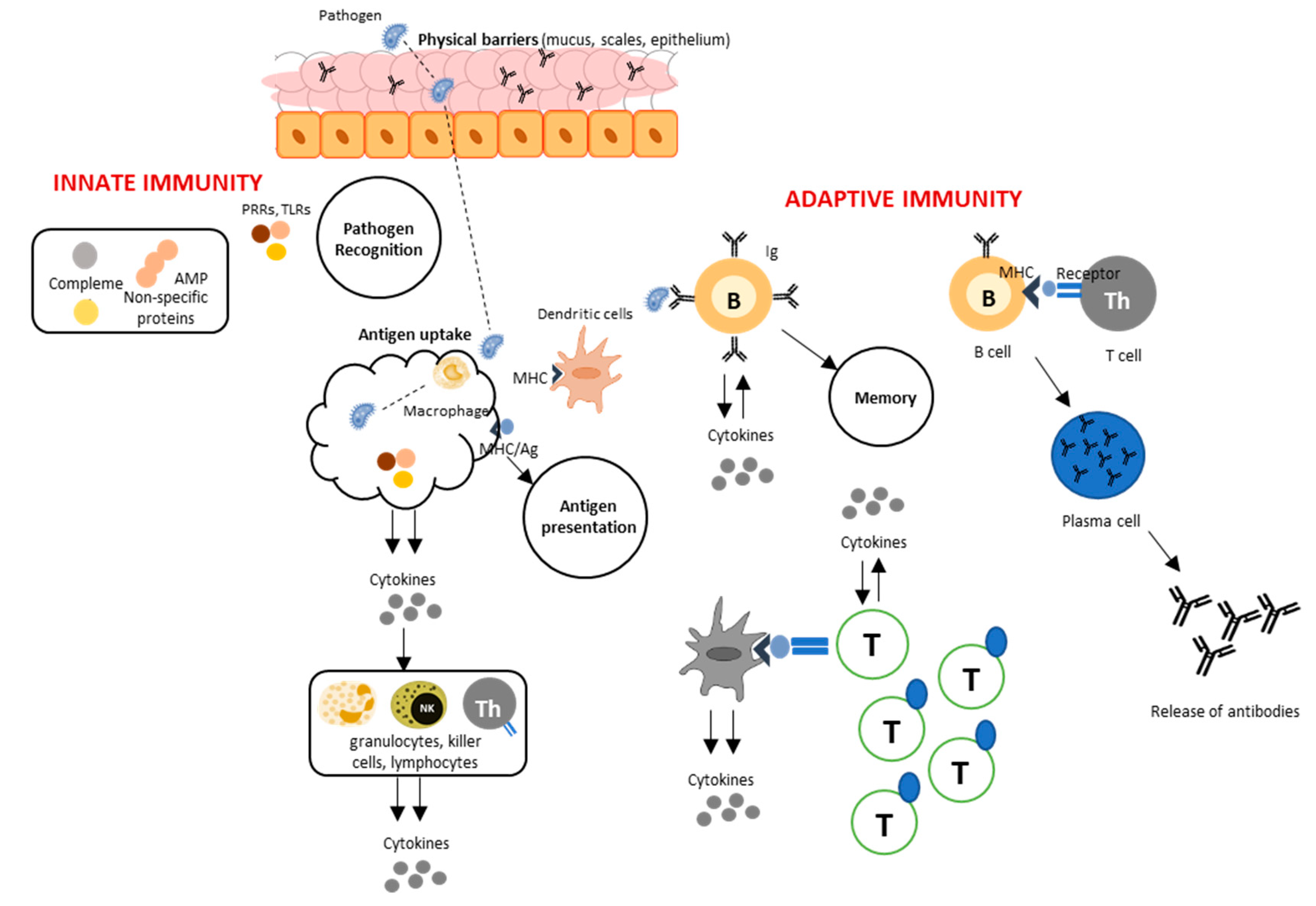 Fishes 04 00002 g001