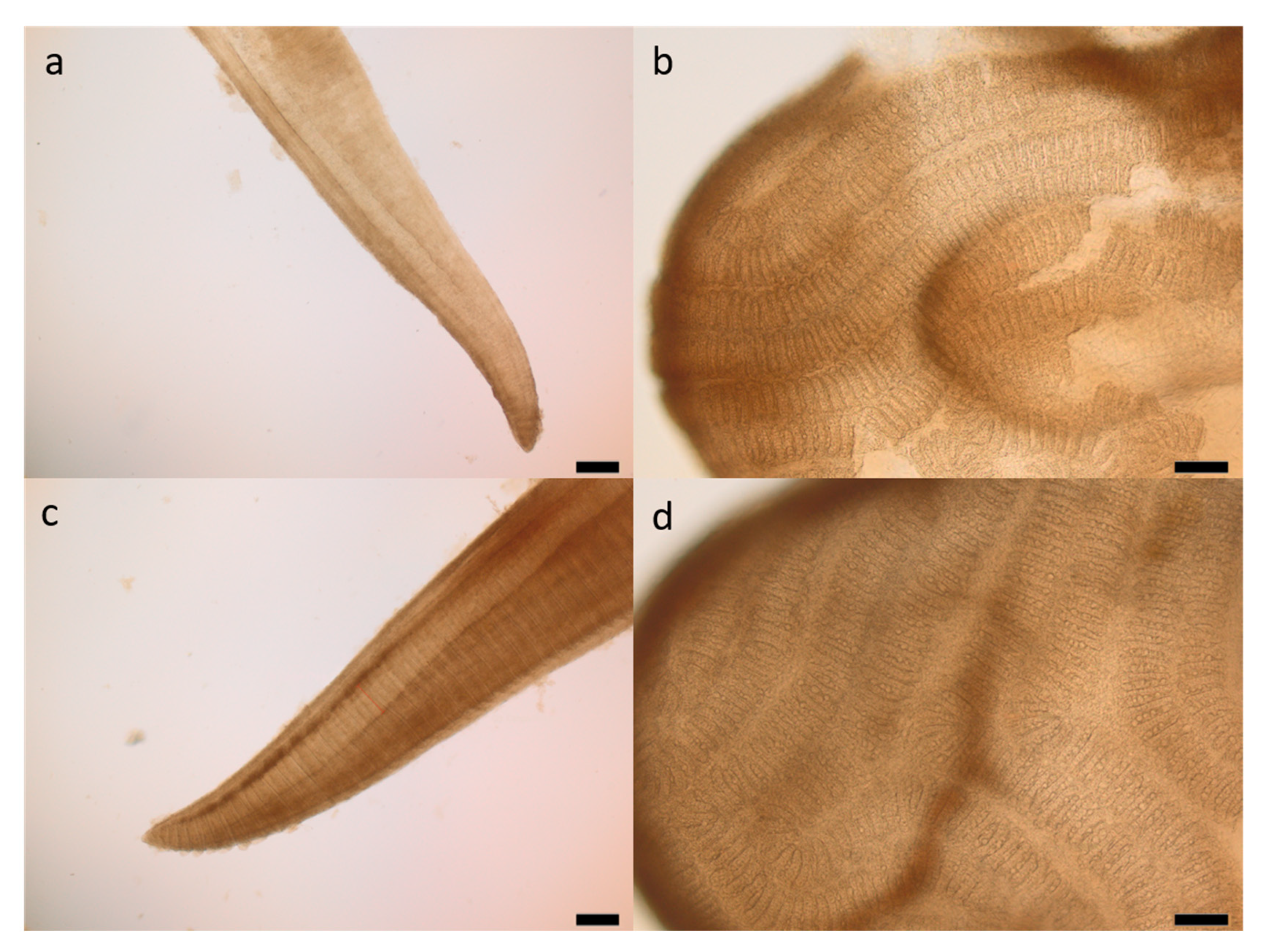 Fishes 04 00003 g001