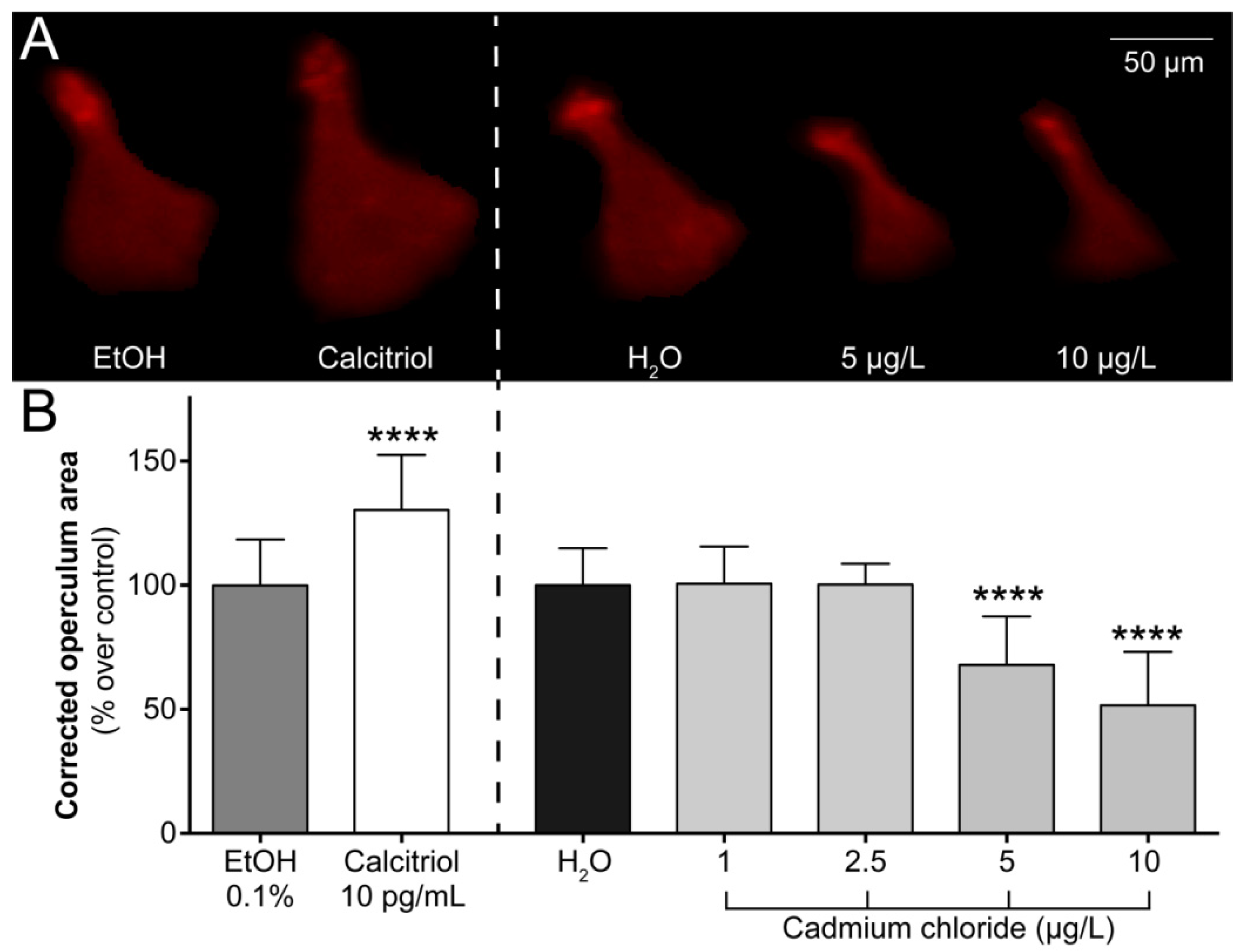 Fishes 04 00011 g001 Fishes 04 00011 g001