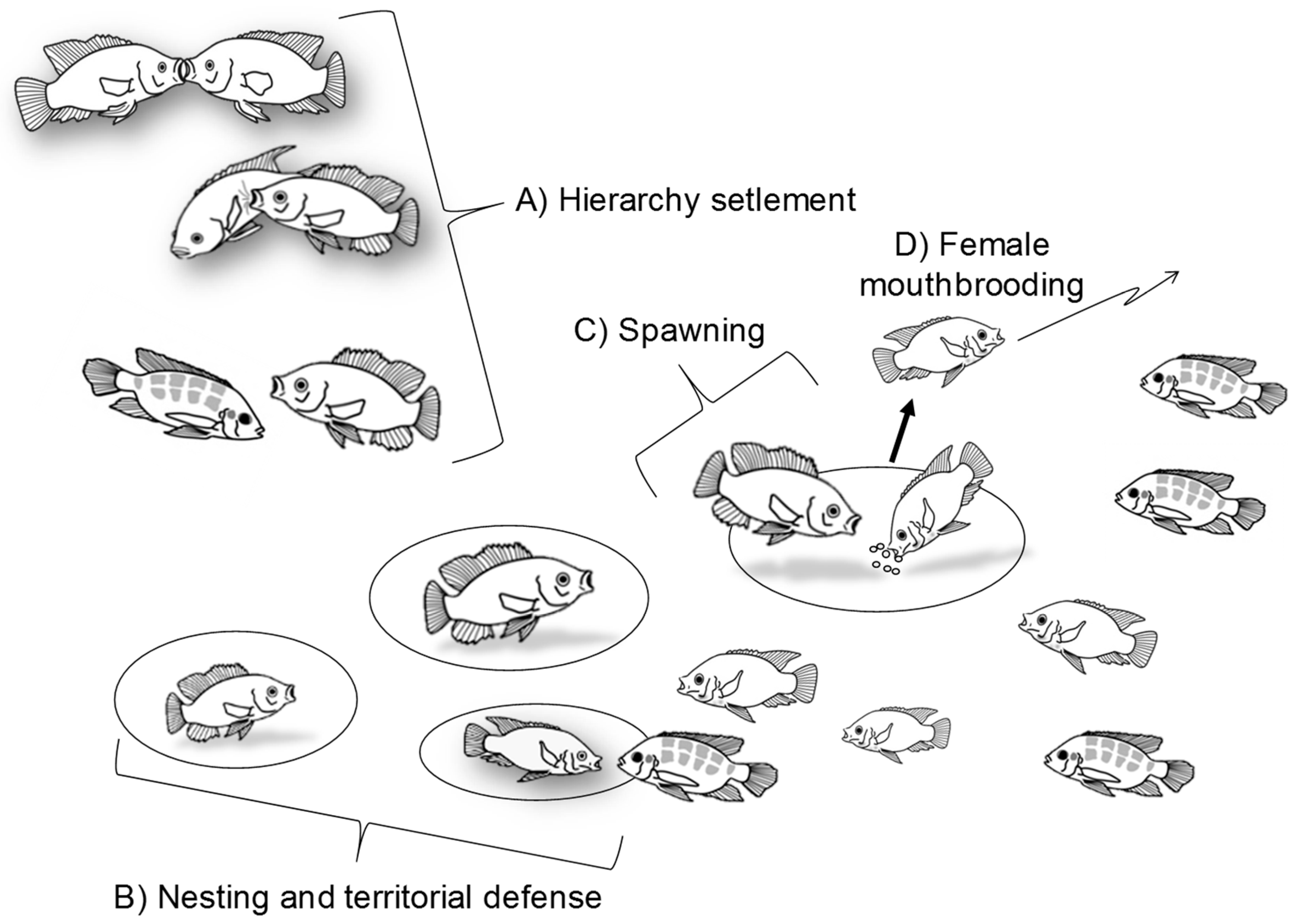 Fishes 04 00023 g001