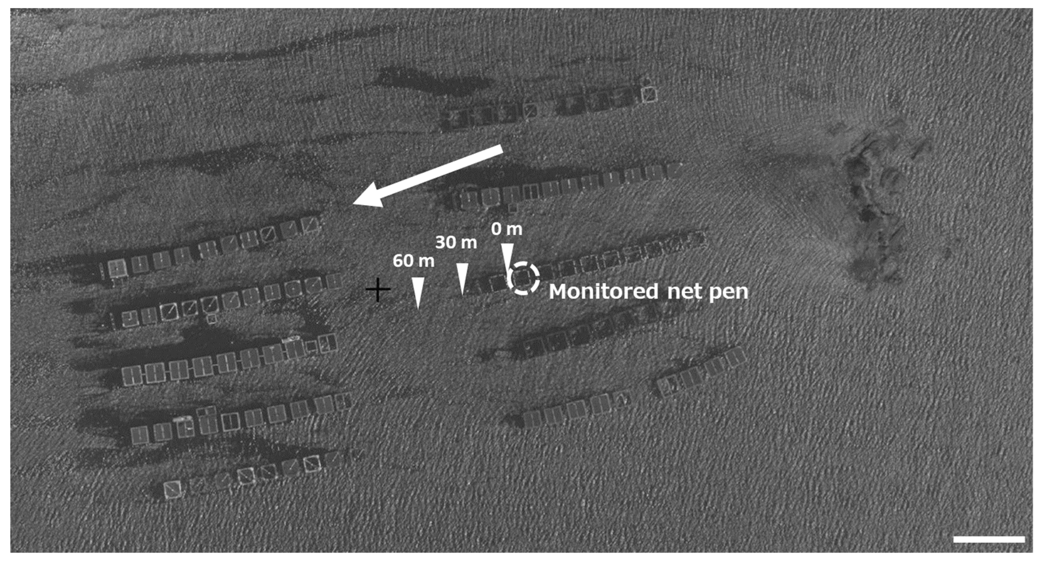 Fishes 04 00024 g001