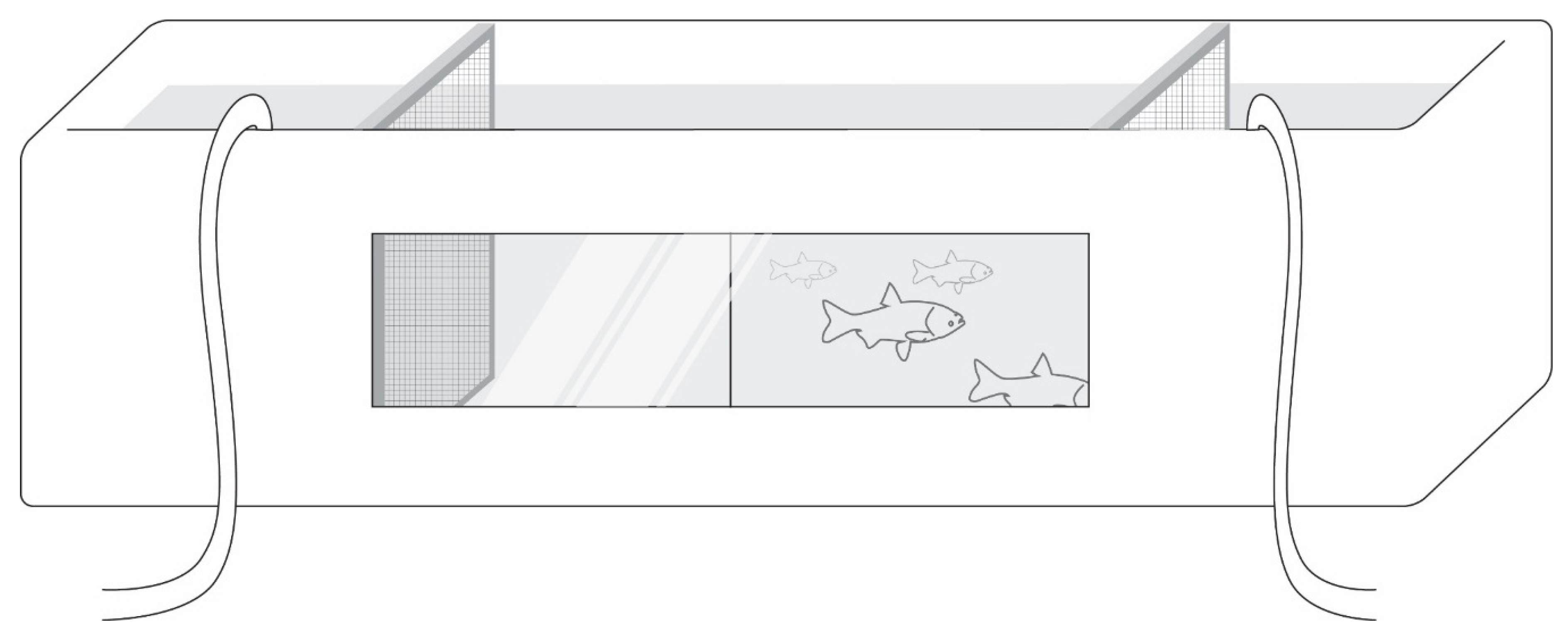 Fishes 04 00027 g005 Fishes 04 00027 g005