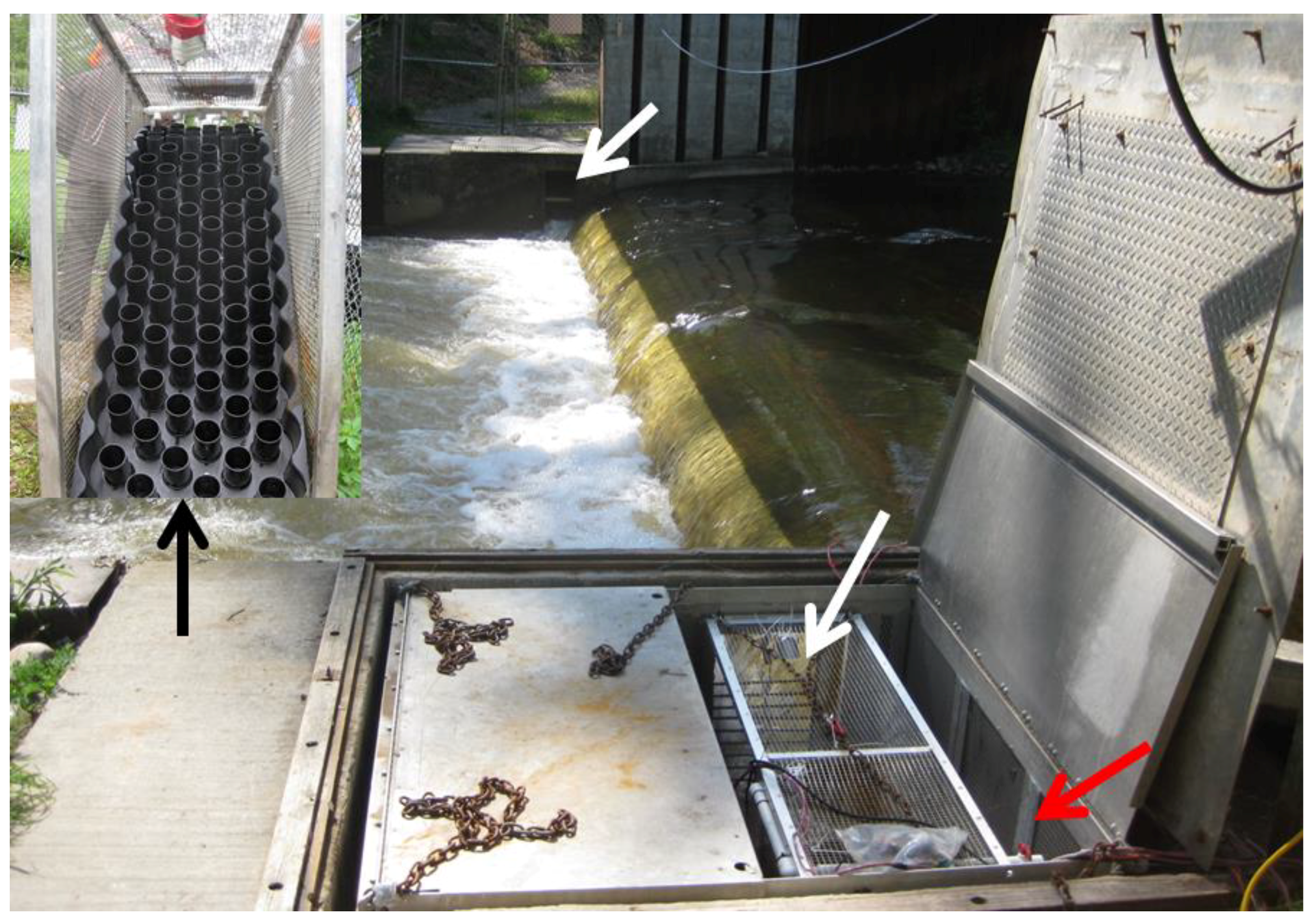 Fishes 04 00034 g001 Fishes 04 00034 g001