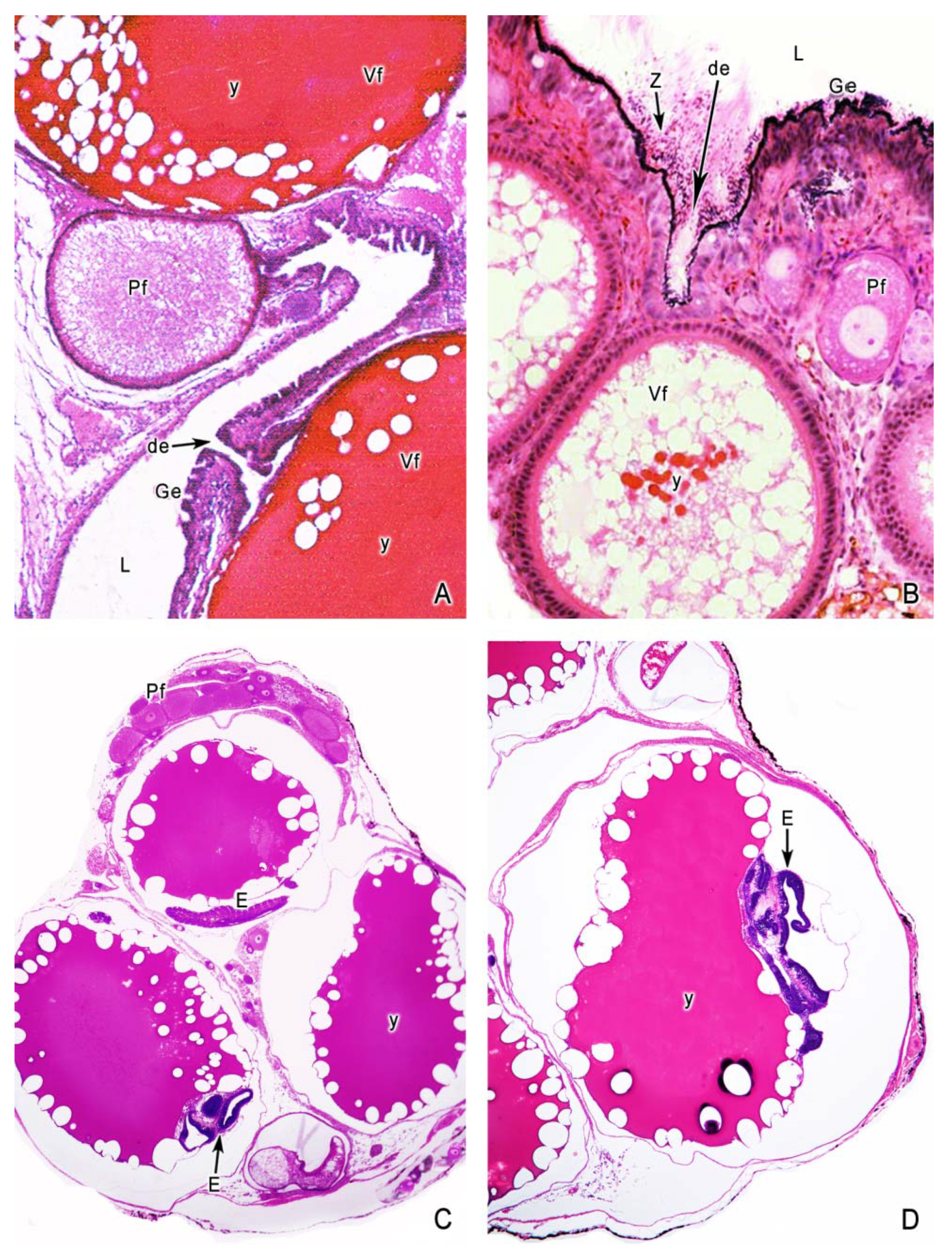 Fishes 04 00035 g005