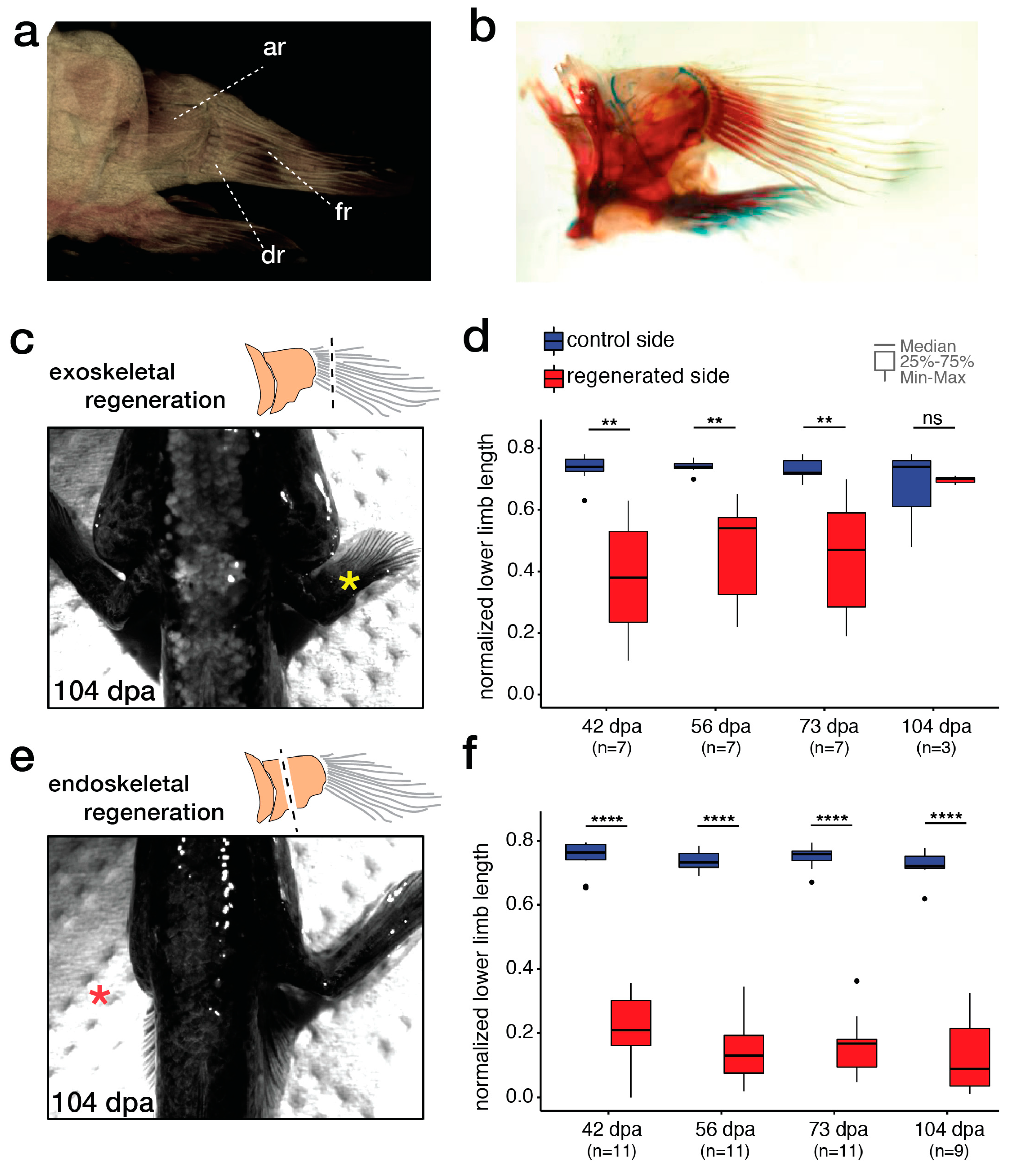 Fishes 04 00051 g003 Fishes 04 00051 g003