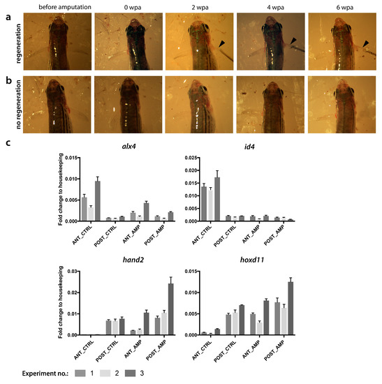 Fishes 04 00051 g0a1