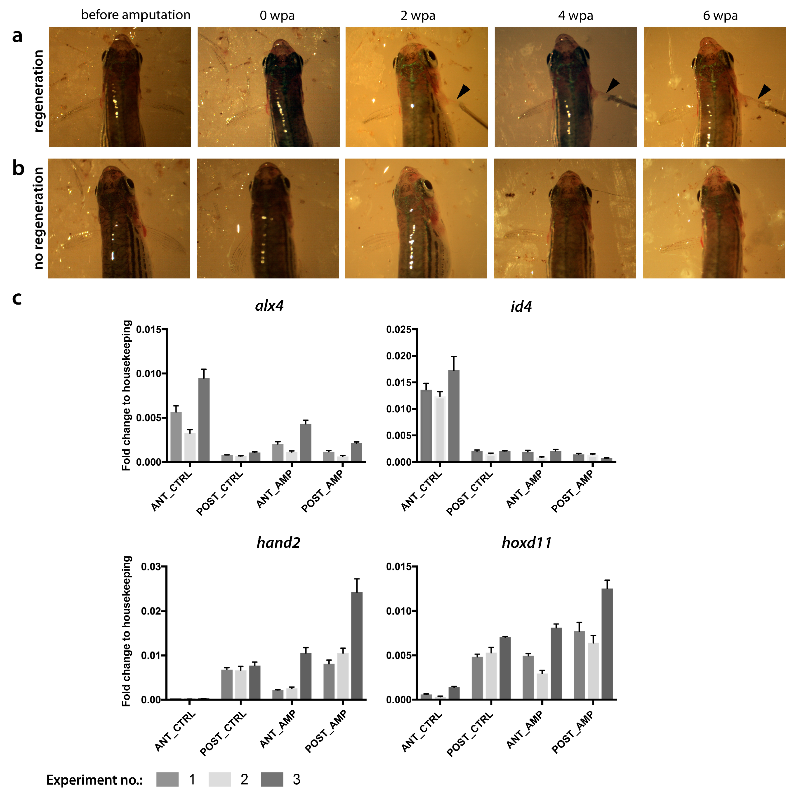 Fishes 04 00051 g0a1 Fishes 04 00051 g0a1