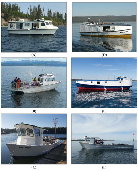 Fishes 05 00018 g0a4