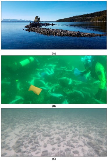 Fishes 05 00018 g0a9